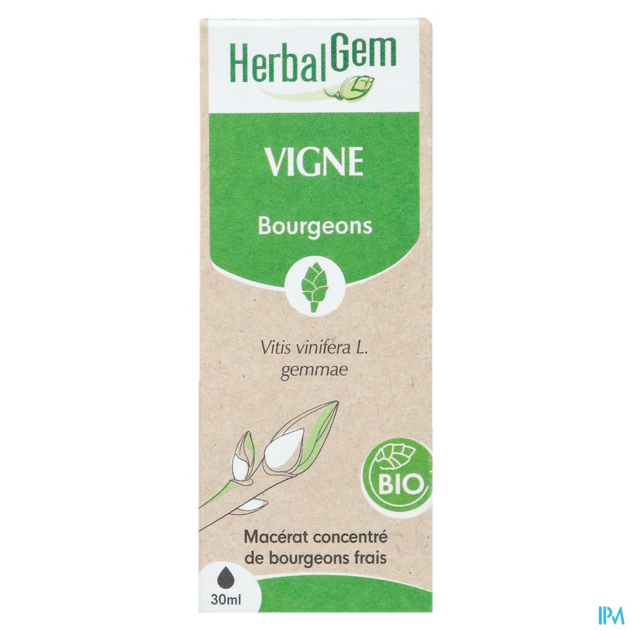 Herbalgem Vigne Bio 30ml