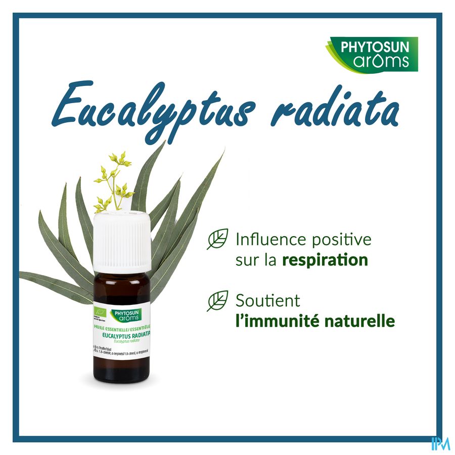 Phytosun® Huile Essentielle Eucalyptus radiata bio – 10 ml – Respiration et immunité