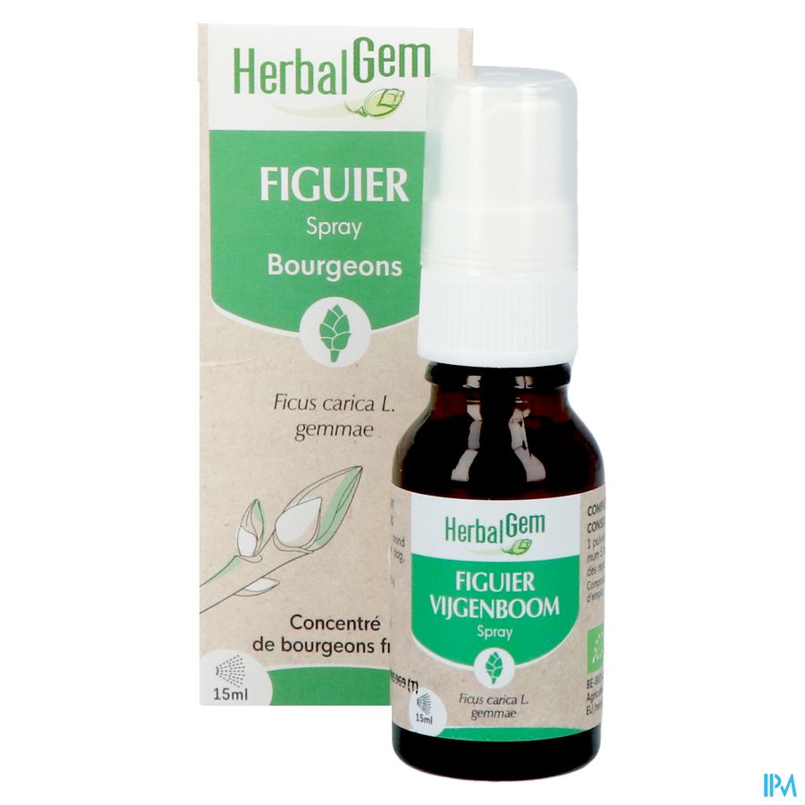 Herbalgem Figuier Bio Spray 15ml