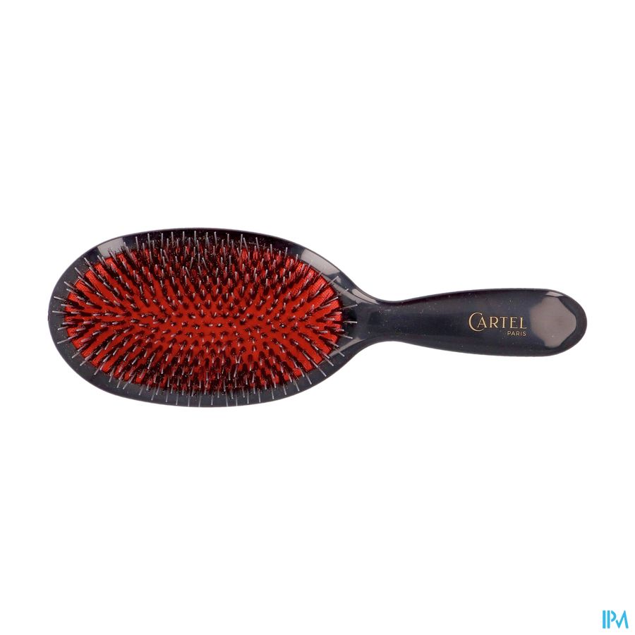 BROSSE PNEUM. SANGLIER/PICOT NYLON LARGE (ASIE)