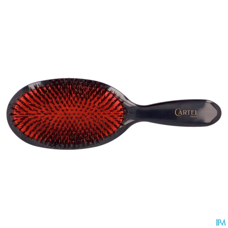 BROSSE PNEUM . SANGLIER LARGE (ASIE)