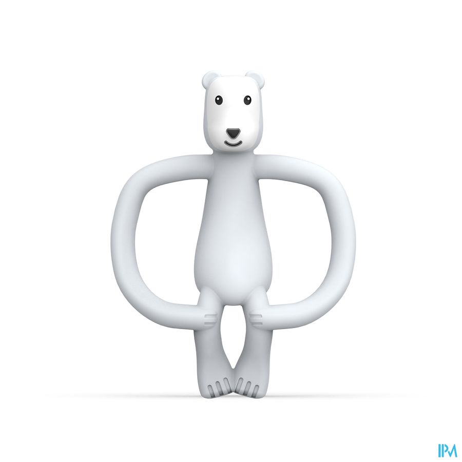 Matchstick Monkey Anneau Dentition Ours Polaire