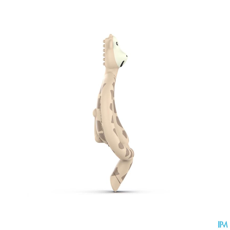 Matchstick Monkey Animal Anneau Dentition Girafe