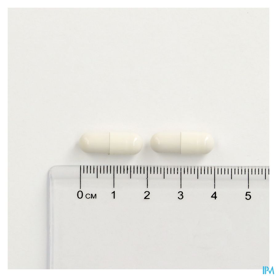 Cogniton Focus Caps 60