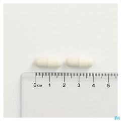 Cogniton Focus Caps 60