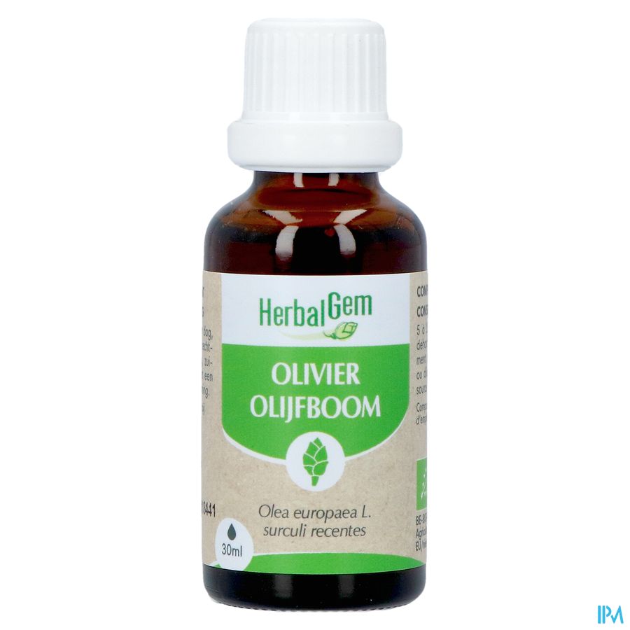 Herbalgem Olivier Bio 30ml