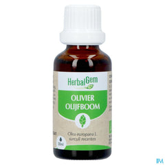 Herbalgem Olivier Bio 30ml