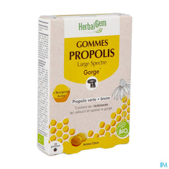 Herbalgem Propolis Large Spectre Bio Gommes 24