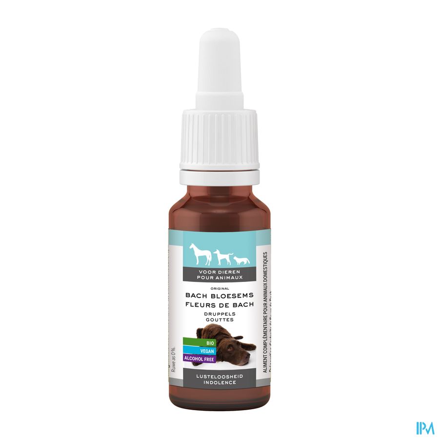 Fleurs De Bach Animaux Indolence Gouttes 20ml