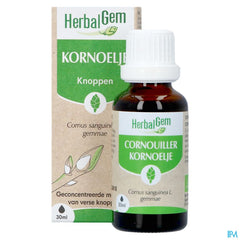 Herbalgem Cornouill Bio 30ml