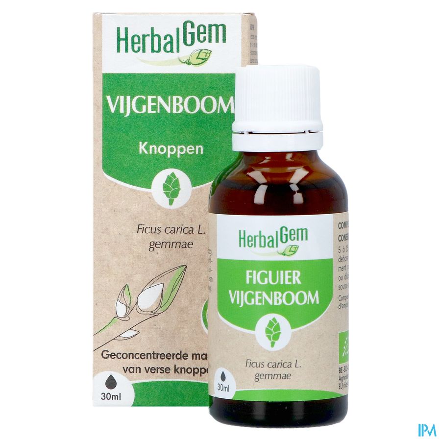 Herbalgem Figuier Bio 30ml