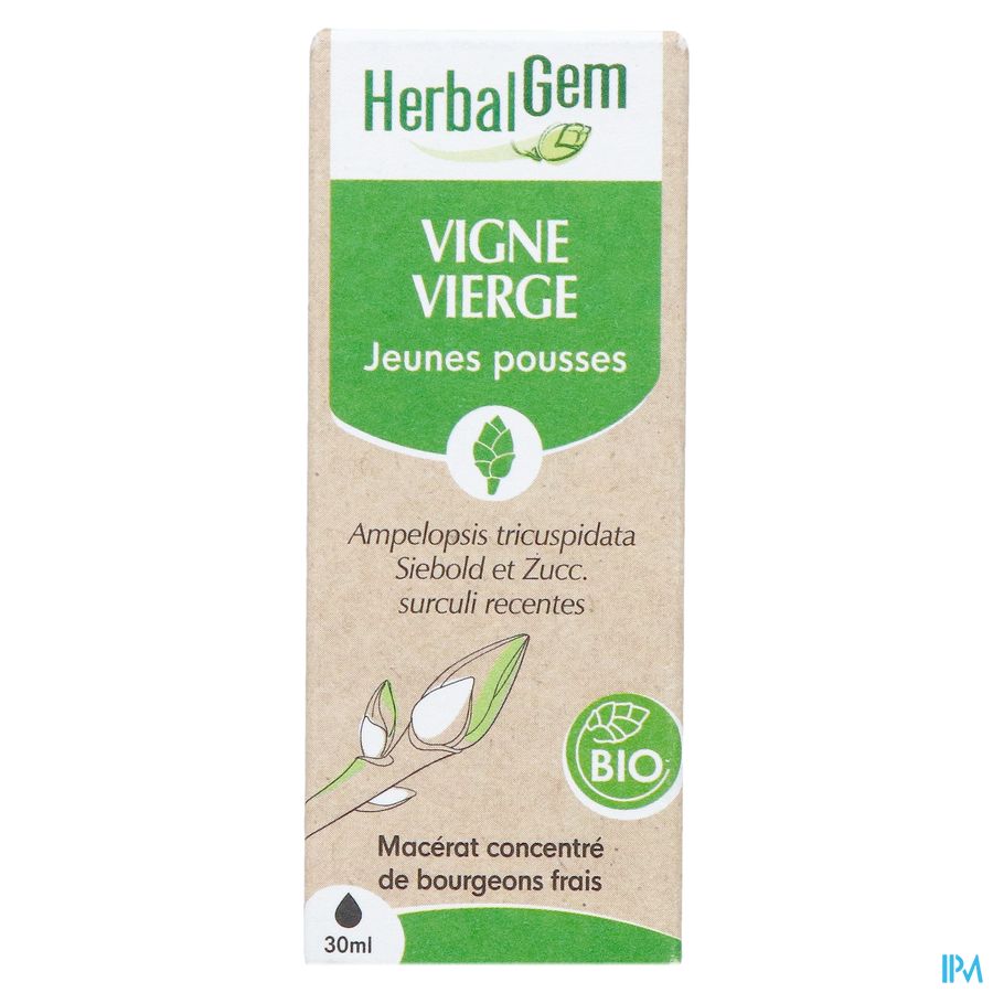 Herbalgem Vigne Vier Bio 30ml