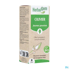 Herbalgem Olivier Bio 30ml