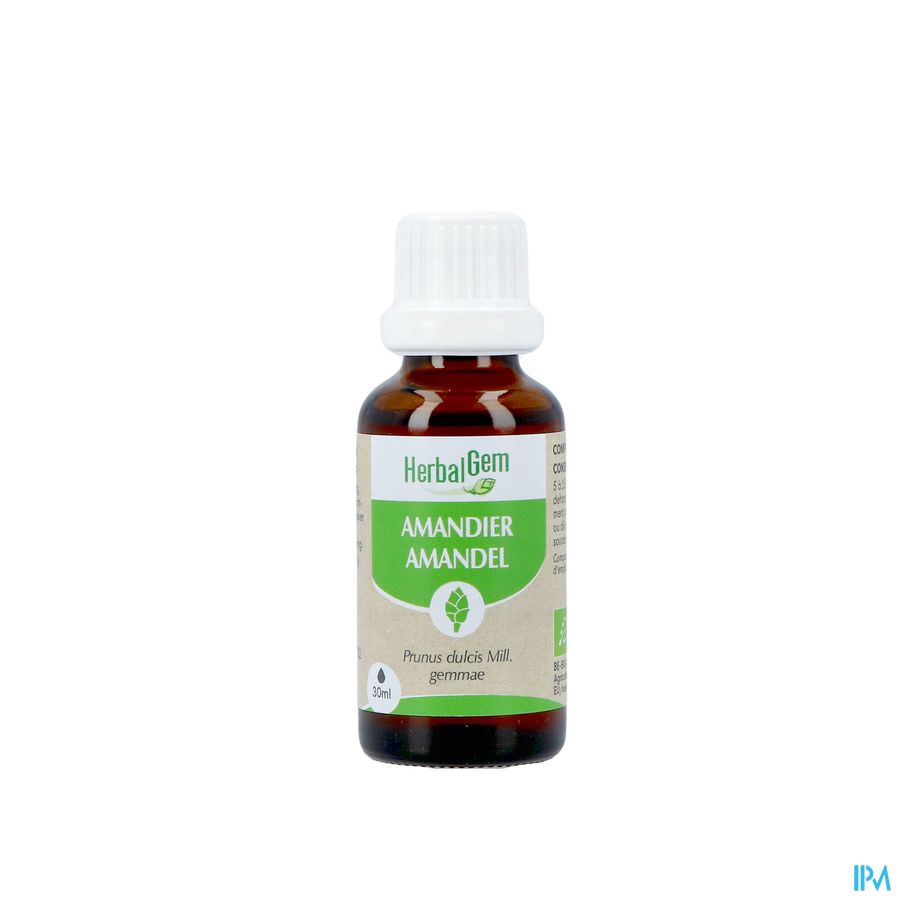 Herbalgem Amande Do Bio 30ml