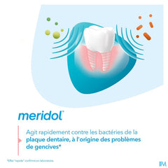 Meridol Bain Bouche Protection Gencives 400ml Nf