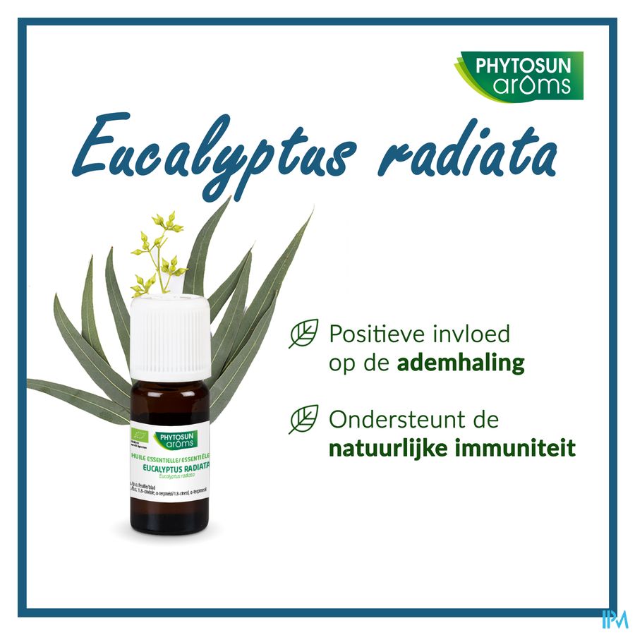 Phytosun® Huile Essentielle Eucalyptus radiata bio – 10 ml – Respiration et immunité