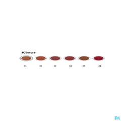 Couleurs De Noir Stylo Lipstick Velour 06 1,4g