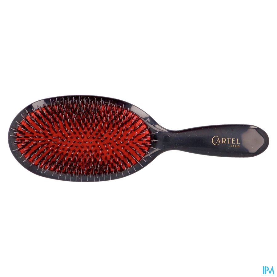 BROSSE PNEUM. SANGLIER/PICOT NYLON LARGE (ASIE)