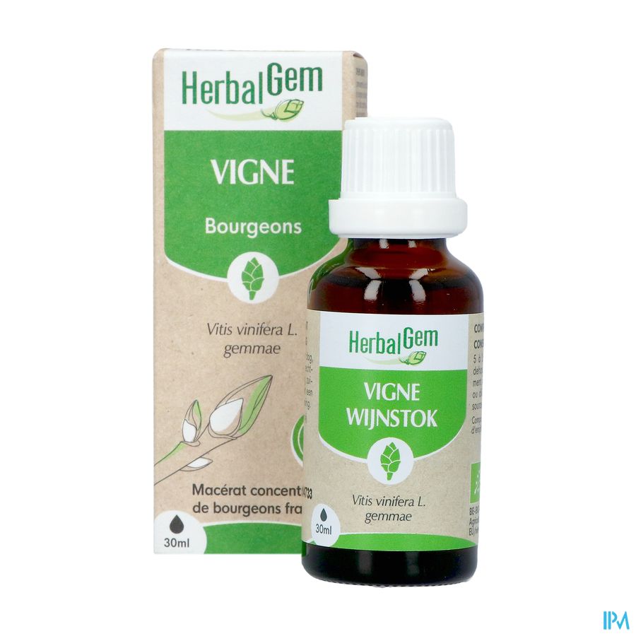 Herbalgem Vigne Bio 30ml